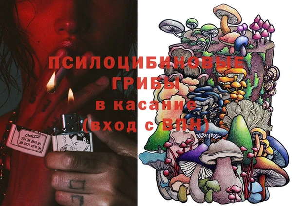 СК Сосновка