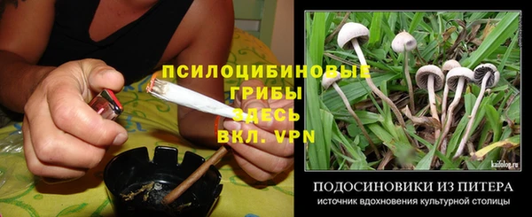 прущая мука Алзамай